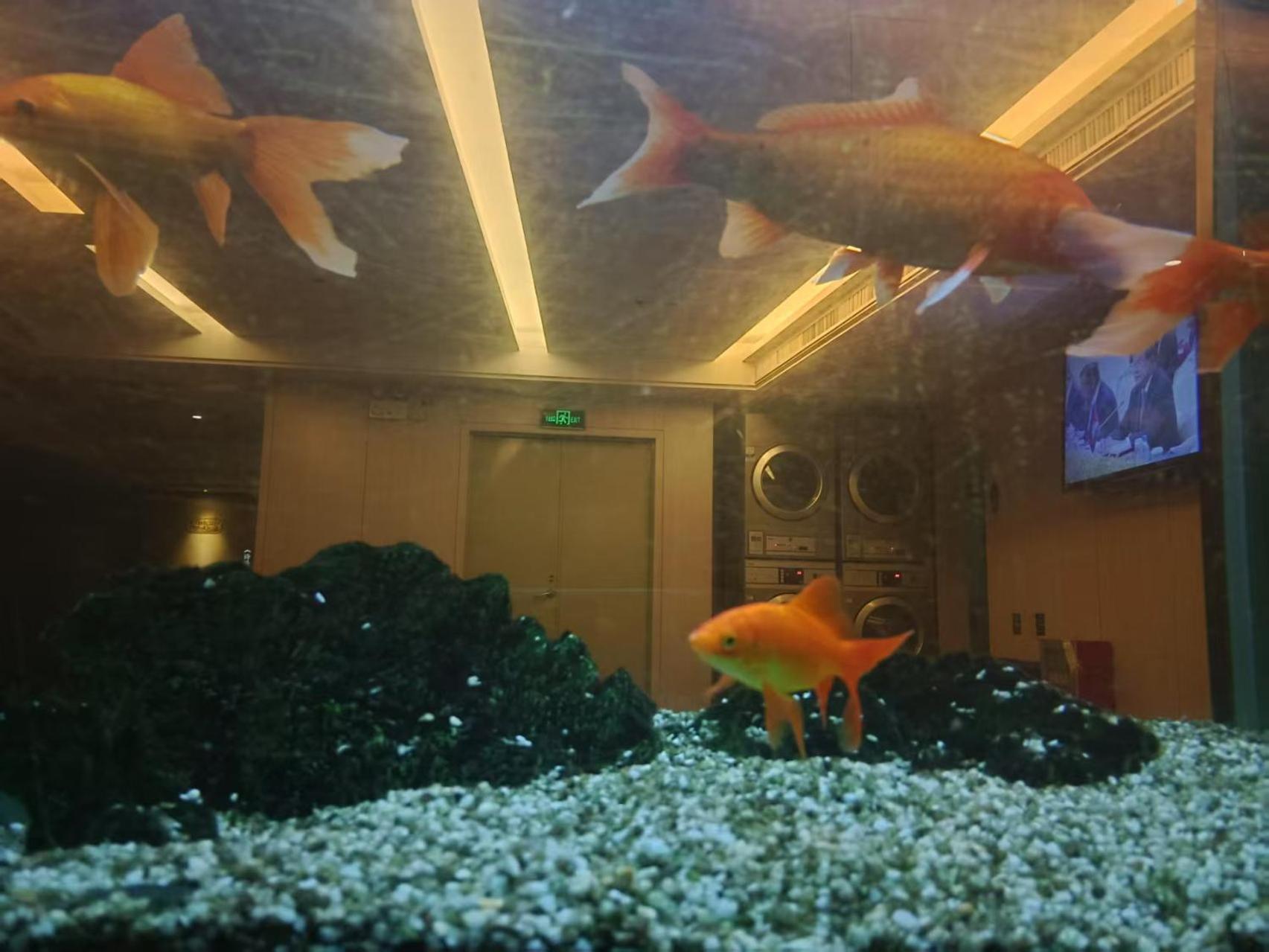 Paco Hotel Tianhe Coach Terminal Metro Satation Guangzhou-Free Shuttle Bus For Canton Fair Zewnętrze zdjęcie